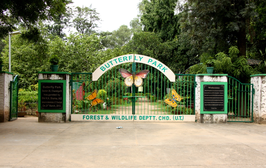 Butterfly Park