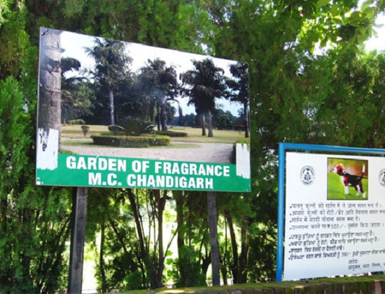 Garden of Fragrance