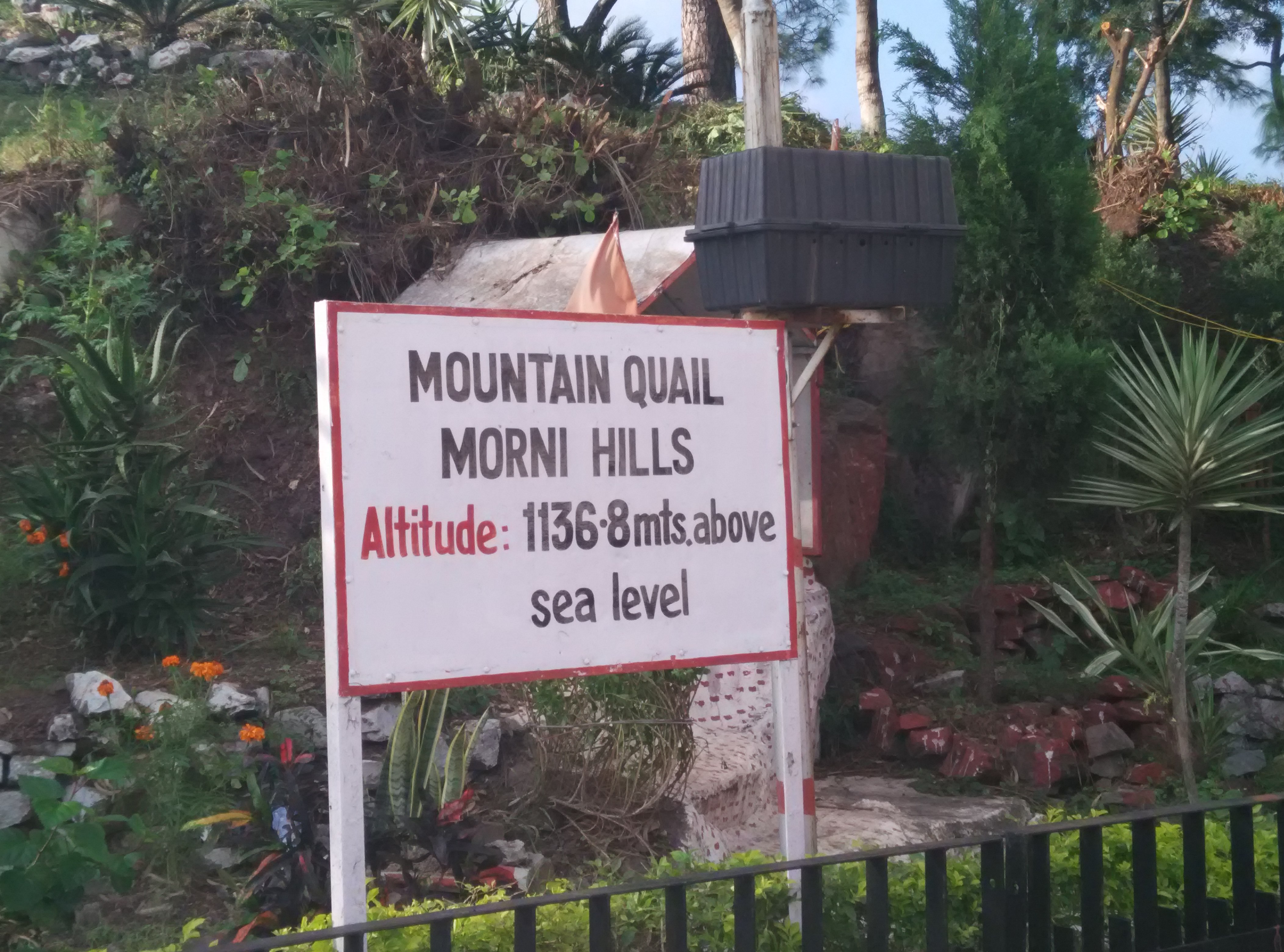 Morni Hills and Tikkar Taal