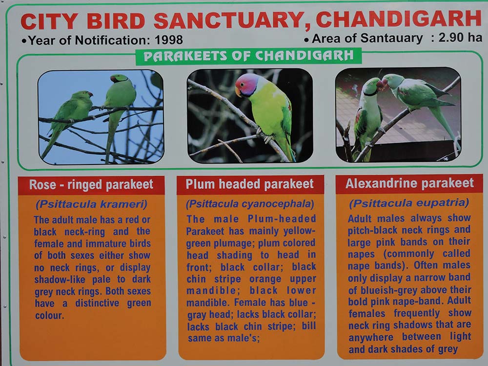 Parrot Bird Sanctuary